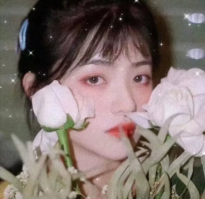 盗墓风云